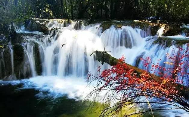 虫虫助手下载