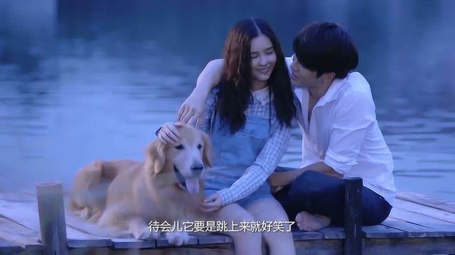 抖音作品被别人收藏了咋办?知识星球-专注于知识分享与交流的平台